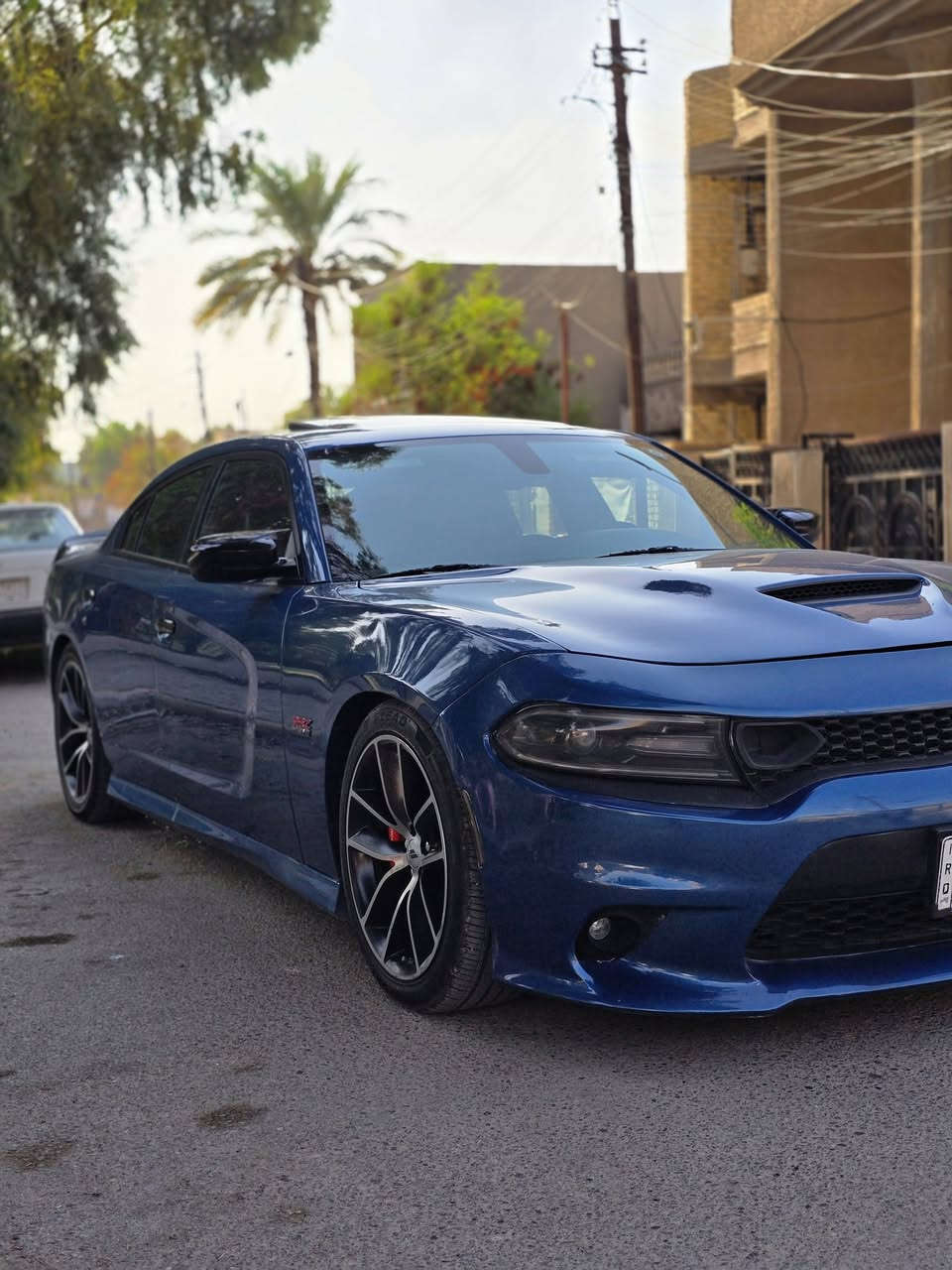 سلام عليكم دوج جارجر  سكات باك scat pack اصل 6.400
موديل 2020

ماشيه 62 ميل

فول واحد ع واحد 

فتحه سقف 

تبريد + تدفئة كشنات الاماميه

ذاکره خزن میموري ثلاث وضعيات كشن للسائق

دشبول دبل خیاط

كشنات جلد وكنتارا مختوم بعلامه scat pack

كشنات الاماميه كهربائي

ستيرن كهربائي يصعد وينزل

تدفئه ستيرن

مري جانبي قلاب وين البك

السياره كلها مختمه scat pack

رادار خلفي وجانبي

نظام سوبر تراك

شاشه كبيره + اوبشنات Srt

سستم صوت Alpine سته سماعات ثلاثه إماميه + ثلاثه

هزه ورقم جديدات كبل تحول 
صور الحادث بالمنشور 

سعر 175 وبيها مجال 
صور الحادث بالمنشور 
عنواني بغداد الدوره 
***********
