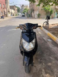 سكنس فحل • نكرة • سلف
