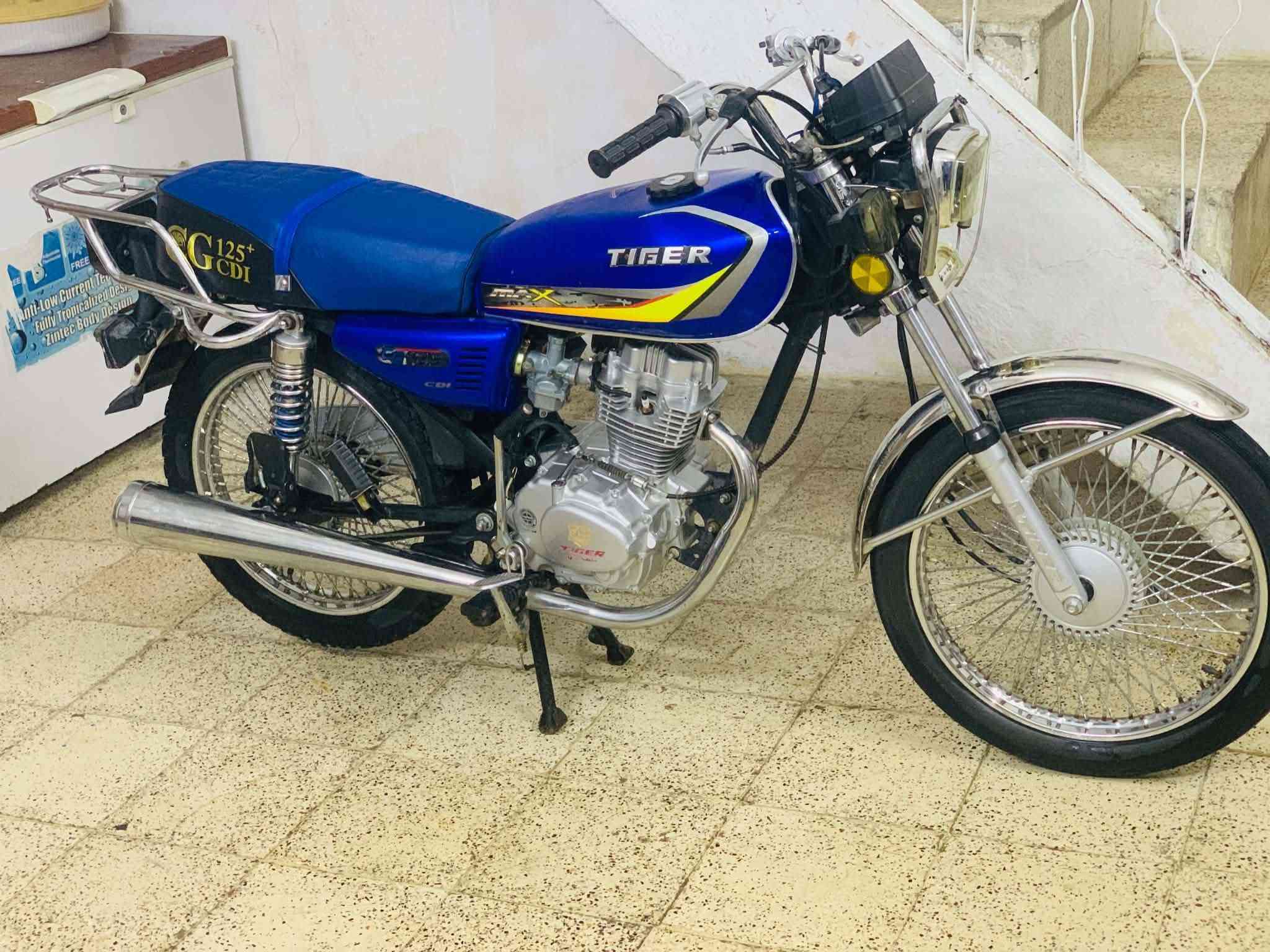 تايكر • ٢٠٢٣ • مخزون