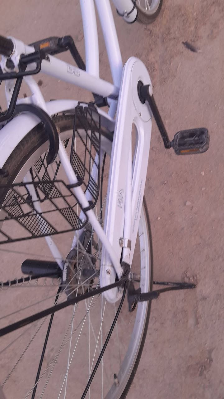 كربلاء • حجم ٢٦ • موديل ٢٠٢٢