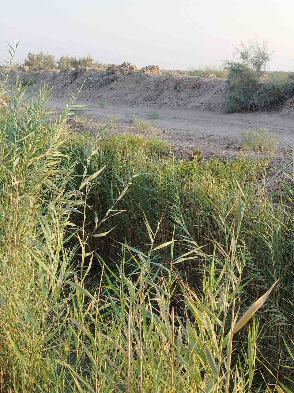 للبيع قطعة أرض مساحة دونمين طابو زراعي قريبه عله الشارع العام ماء سقي وماء اساله وكهرباء متوفر مكان قريه العداله تبعد عن طريق الصويره. جبله ٤٠٠ متر وبيها مكان دفن مال بيت الشراي يتصل *********** @
