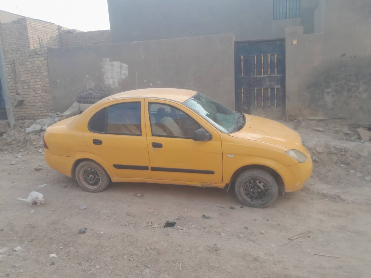 طيبه • ٢٠١٣ • رقم بصره