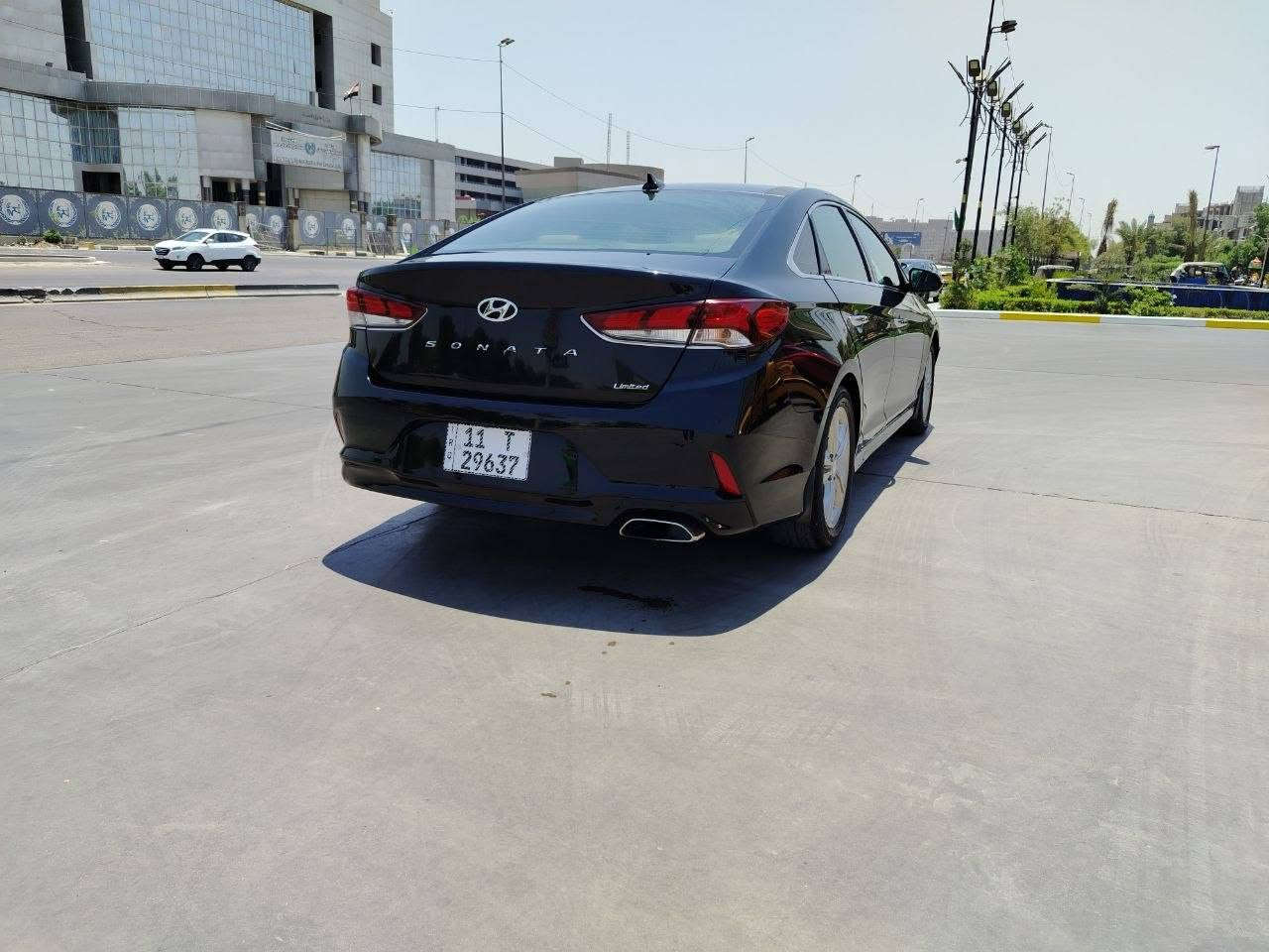 فول لمتد • ٢٠١٩ • وارد امريكي