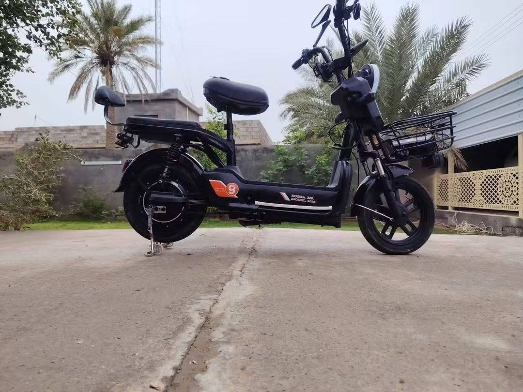 دراجة شحن • جديدة • جزيره الخالديه