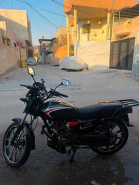 شاينك • ٢٠٢٣ • باسمي