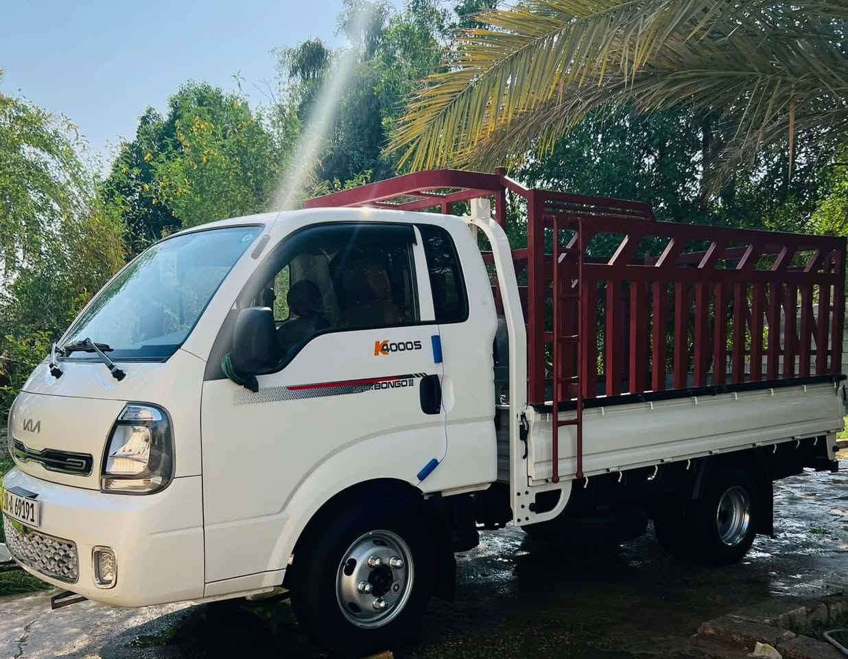 ٢٠٢٤ • كفاله عامه • واسط النعمانيه
