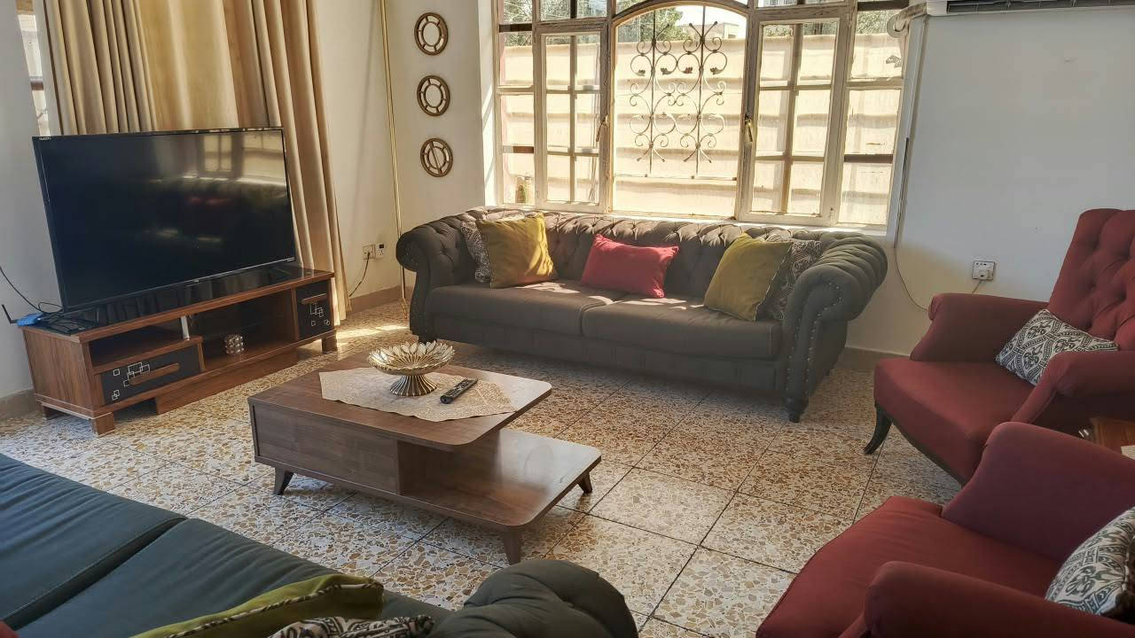 قنفتين • كراسي ٢ • تخم