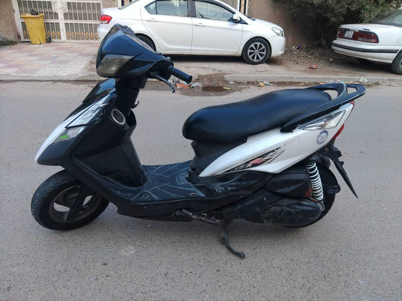 ثعلب • نضيفة • ممفتوحة