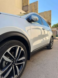 سبورتج ٢٠٢٠ • بدون صبغ • رقم اربيل