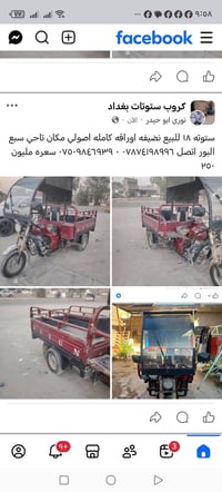 ستوته • نضيفه • أوراق كاملة