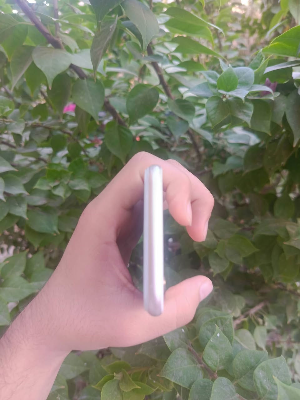 للبيع iPhon 6s..
ذكراته 64 بطاريه 100..
اي عطل مابي سعر 50..
رقم ***********.....
