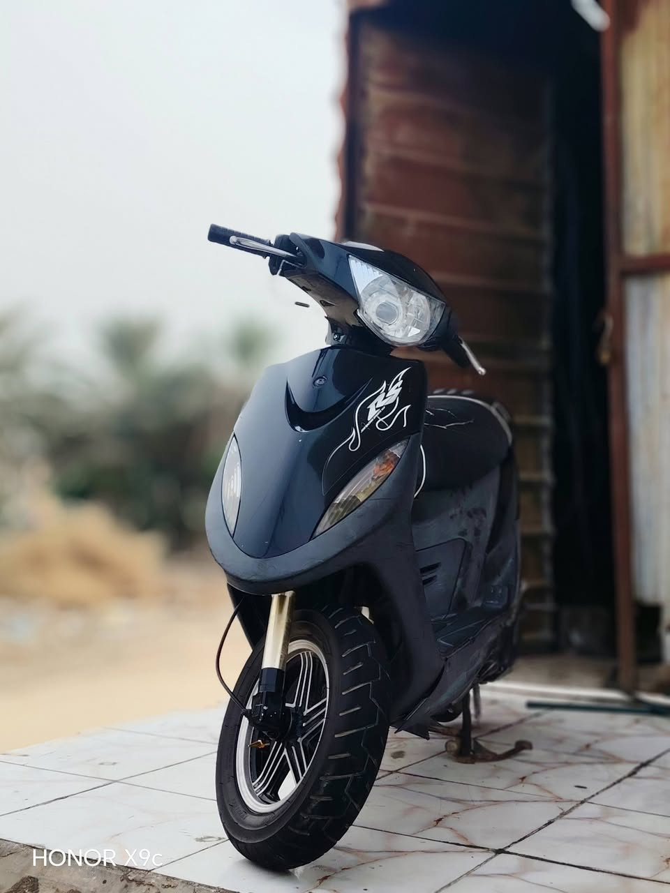 ماكس عدله • كفاله عام • لا ضربه