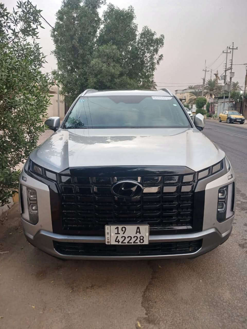 باليسيد • ٢٠٢٣ • بدون صبغ