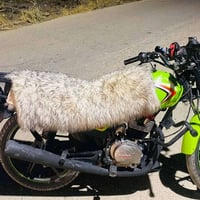 شنك باب اول • مسجل سنوية • مبدل
