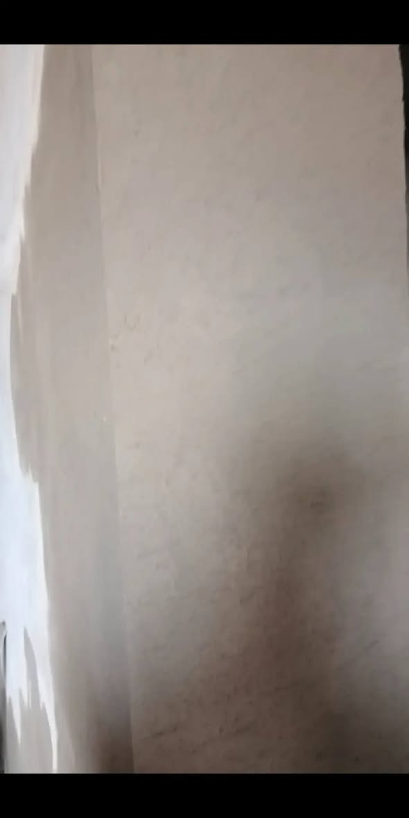 نريد شغل بل ناصريه خلفه لباخ وجص و مخمر و نثر 
سعارنه بلاش شغلنه داخل ناصريه فقط رقم *********** تصل بيك خير ودلل رقم *********** الثاني
