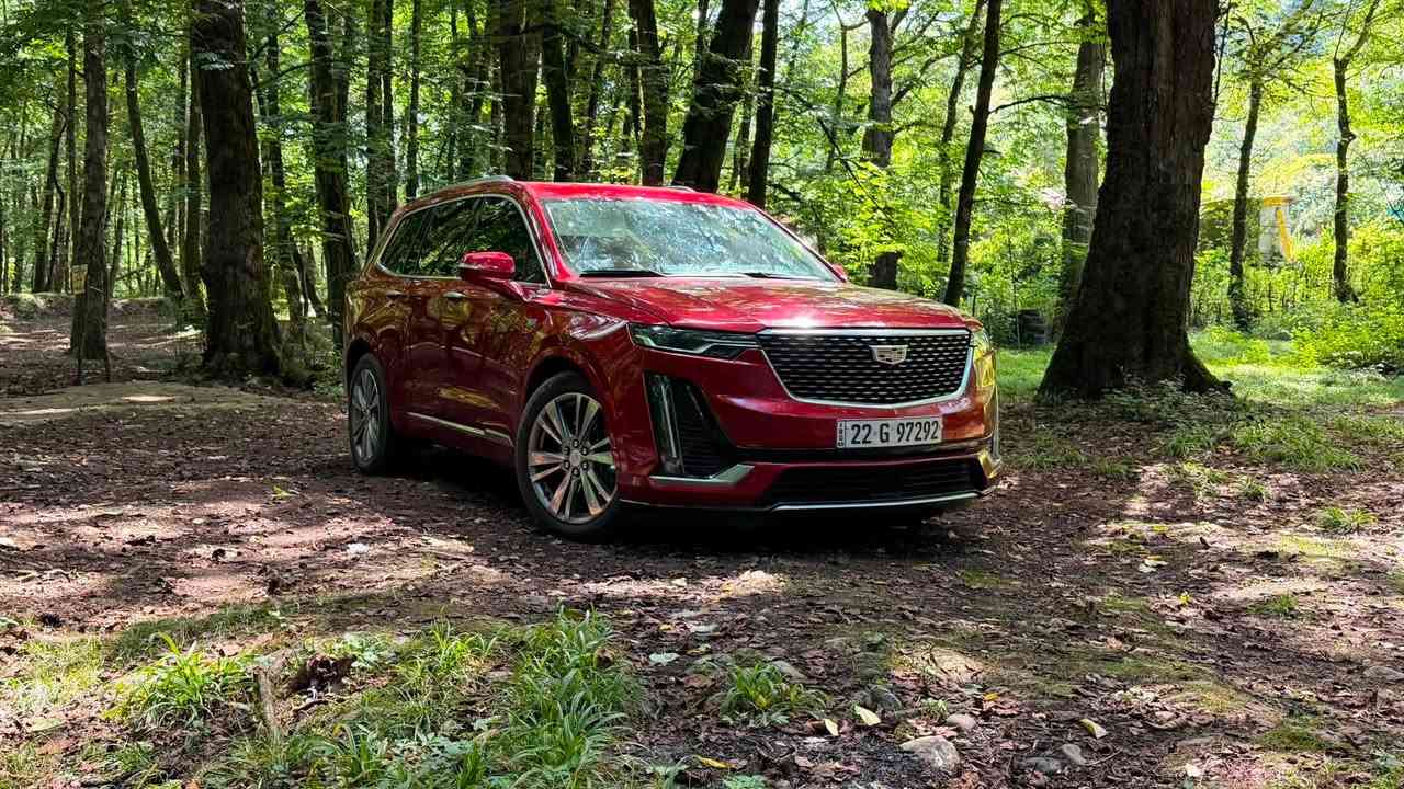 كاديلاك ميني اسكاليد XT6 موديل 2023
لكل من يبحث عن الراحه والرفاهية والسفر الممتع 

سيارة خاصة لكل جناي اعلى مواصفات بفئتها 

2023 Cadillac XT6 Premium Luxury

محرك  6  سلندر  3600
7راكب رقم اربيل

تبريدثلاث قطع
جنطه شفط مري شفط
شعار ترحيب
تبريد تدفئه كشنات امامي
تدفئه كشنات خلفي
 كشن السايق خزن ميموري
كشنات اماميه كهربائي
جميع الكشنات طي فتح كهربائي
كشن الوسط منفصل VIP
جنطه تفتح وتغلق بالصمة وحركة القدم
سقف فتحه بانوراما غطاء كهربائي
رادارات وحساسات امامية وخلفية ونقط عمياء و تنبيه اهتزاز الكشن عندالاقتراب
وجميع المواصفات الاخرى الممتعة 

عداد المسافات ٦٢ الف ميل

السعر بلاش 30900$
التواجد نجف 
تحويل او وكالة جاهز 

واتساب ***********
الضرر بسيط جدا مرفق مع الصور
