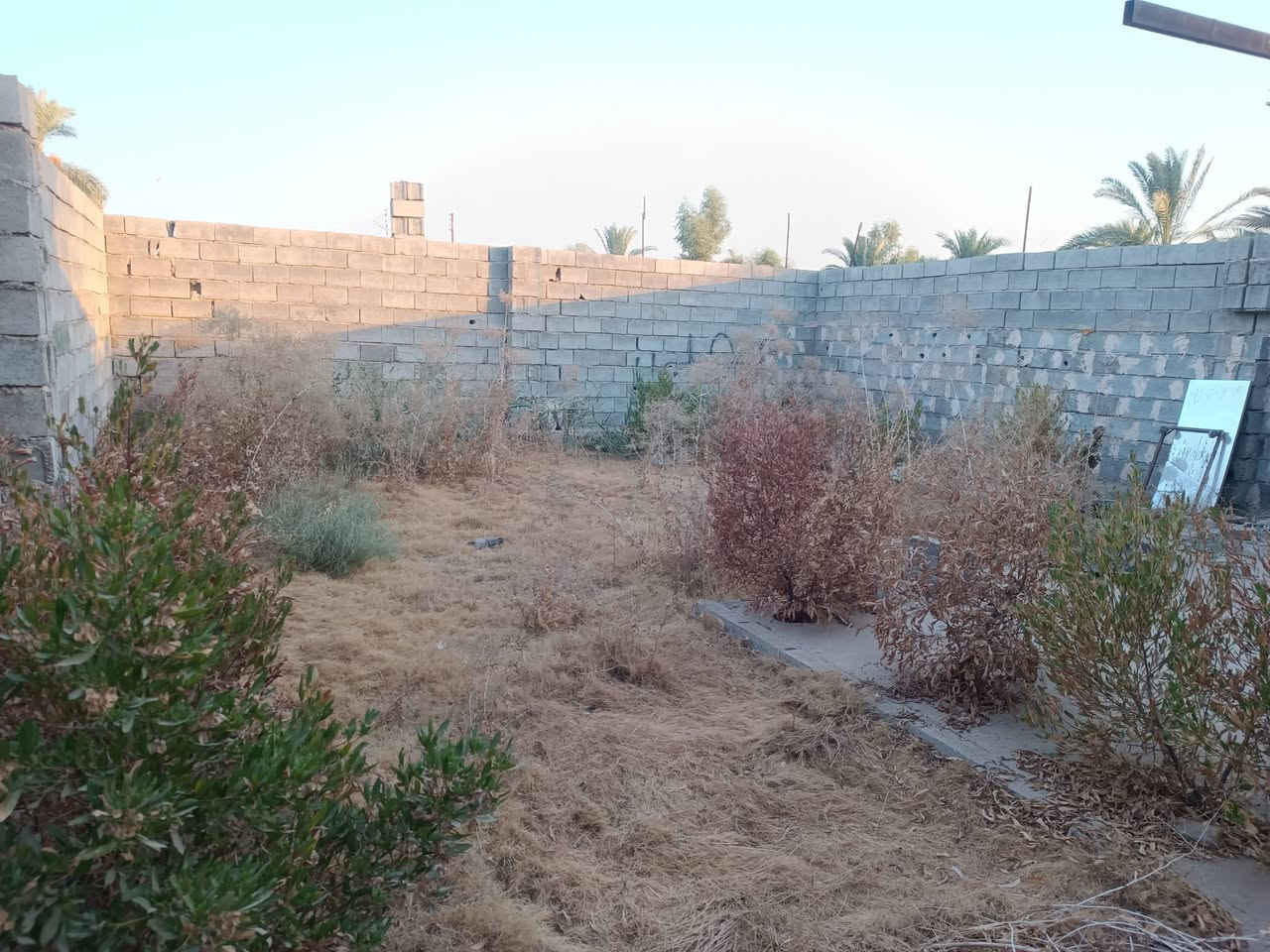🏡 فرصة استثمارية ممتازة للبيع!
قطعة أرض مسيجة بالكامل ومجهزة، تصلح للسكن أو الاستثمار بموقع مميز.
📐 المساحة والنوع:
المساحة: 140 متر مربع.
نوع العقار: زراعي (مسيجة بالكامل).
🏠 تفاصيل العقار / البناء:
تحتوي على غرفة جاهزة.
صحيات كاملة.
حديقة داخلية واسعة.
⚡ الخدمات المتوفرة:
ماء إسالة متوفر وجاهز.
كهرباء وطنية واصلة.
منطقة كاملة الخدمات وسهلة الوصول.
📍 الموقع:
خلف إعدادية الصناعة مباشرة.
💰 السعر وطريقة التفاوض:
السعر المطلوب: 35 مليون دينار عراقي.
ملاحظة: السعر قابل للتفاوض للجادين.
📞 للتواصل والاستفسار:
يرجى الاتصال على الرقم: [***********]
أو المراسلة عبر الرسائل المباشرة.

نص مكتوب في الصور:
- فرصة استثمارية: قطعة أرض مسيجة للبيع خلف إعدادية الصناعة المساحة والمواصفات المساحة: 140 متر مربع نوع العقار: زراعي (مسيجة بالكامل) تفاصيل الدار غرفة وصحيات كاملة حديقة داخلية واسعة (غير مزروعة حالياً) الخدمات المتوفرة ماء إسالة (جاهز) كهرباء وطنية (واصلة) الموقع خلف إعدادية الصناعة مباشرة خلف إعدادية الصناعة السعر وطريقة التفاوض السعر: ٣٥ مليون السعر قابل للتفاوض نص الإعلان الجاهز "للبيع قطعة أرض مسيجة 140م خلف الصناعة، زراعي، متوفرة فيها الخدمات (ماء وكهرباء)، تحتوي على غرفة وصحيات وحديقة. فرصة للسكن أو الاستثمار. 👍🏻" سهولة الوصول اتصل الآن
