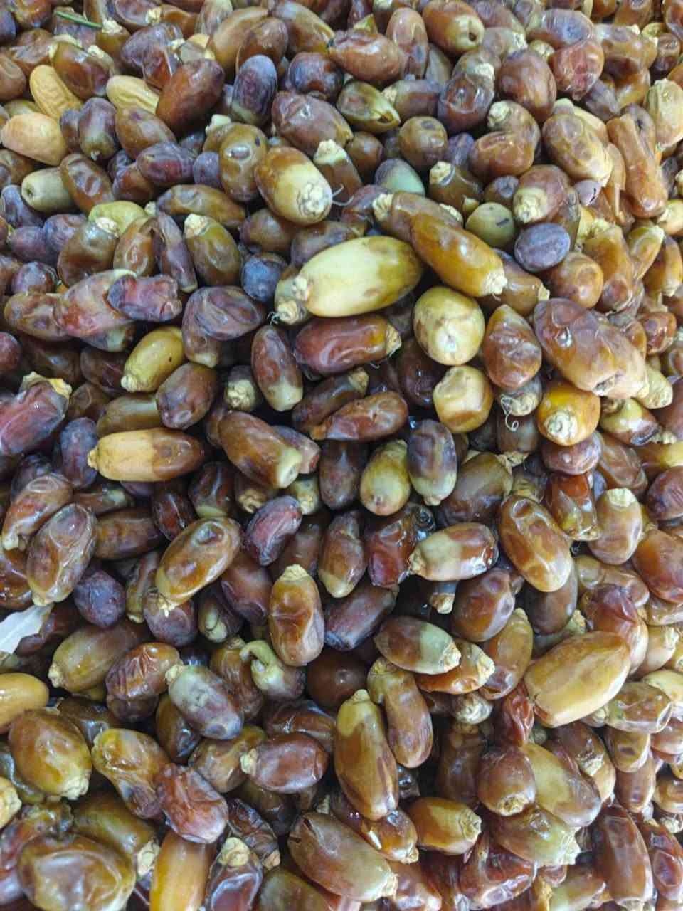 علوه بغداد قرب خان مندي مسوك تازه كله اليوم بيومه توصيل دخل بسمايه حجز *********** حجي عباس
