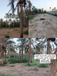 دونم ونص • ملك صرف • المدائن سيد علي