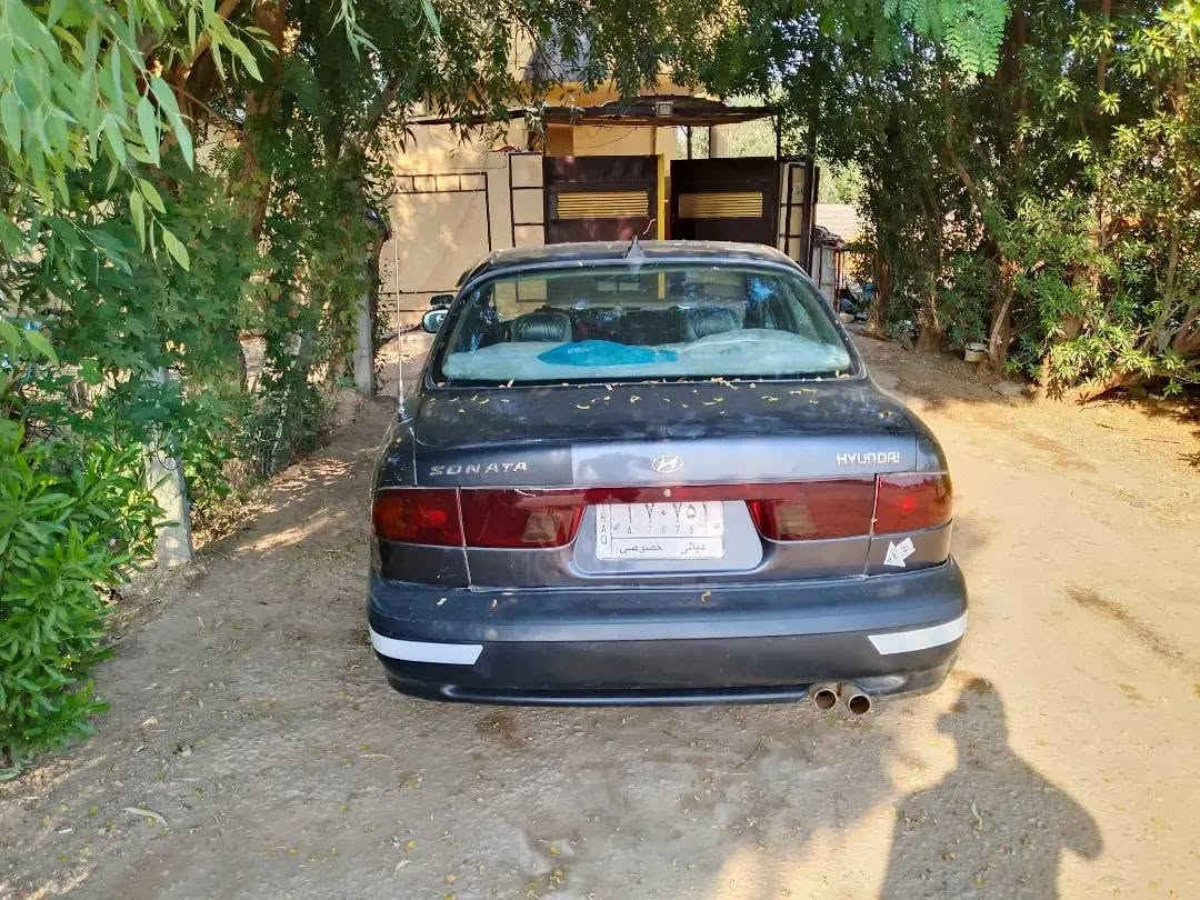 سوناته • ١٩٩٤ • ديالى