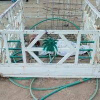 كيا • قوسيات • موصل