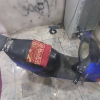 فراشه • شباب • بيه مجال