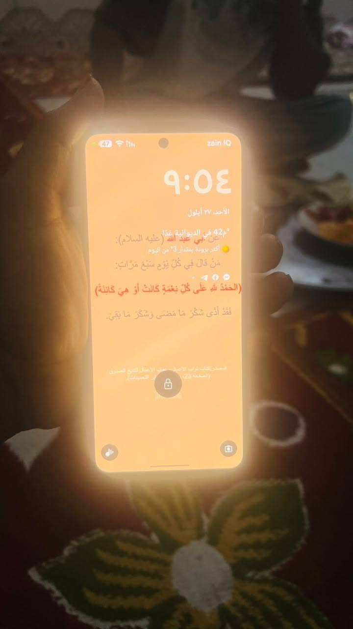 بيكسل ٨ • ذاكرة ٢٥٦ • دورات الشحن ٤٣٤
