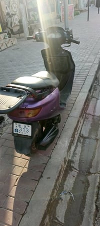 فراشة • فحل • هندر وسلف