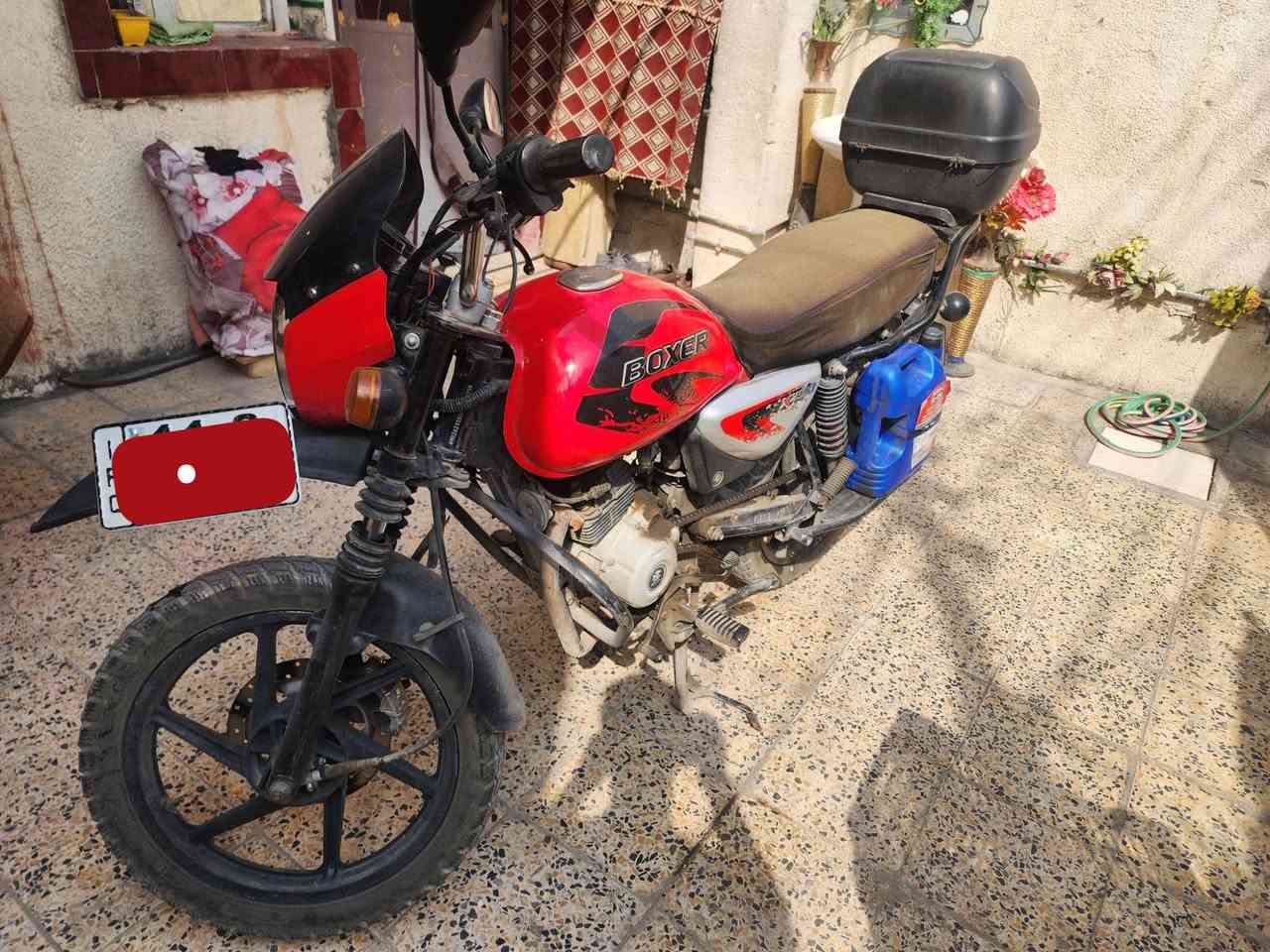 بوكسر جبلي • موديل ٢١ • مرقمة