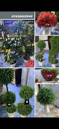 باترينة MDF • جرباية نفر سرير • دوشك سبرنك