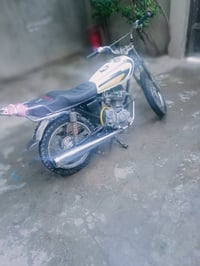 تايجر • ٢٠١٨ • معدل