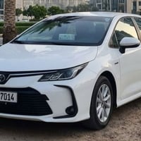خط فلوجه الرمادي • خط فلوجه بغداد • موظفين طلاب