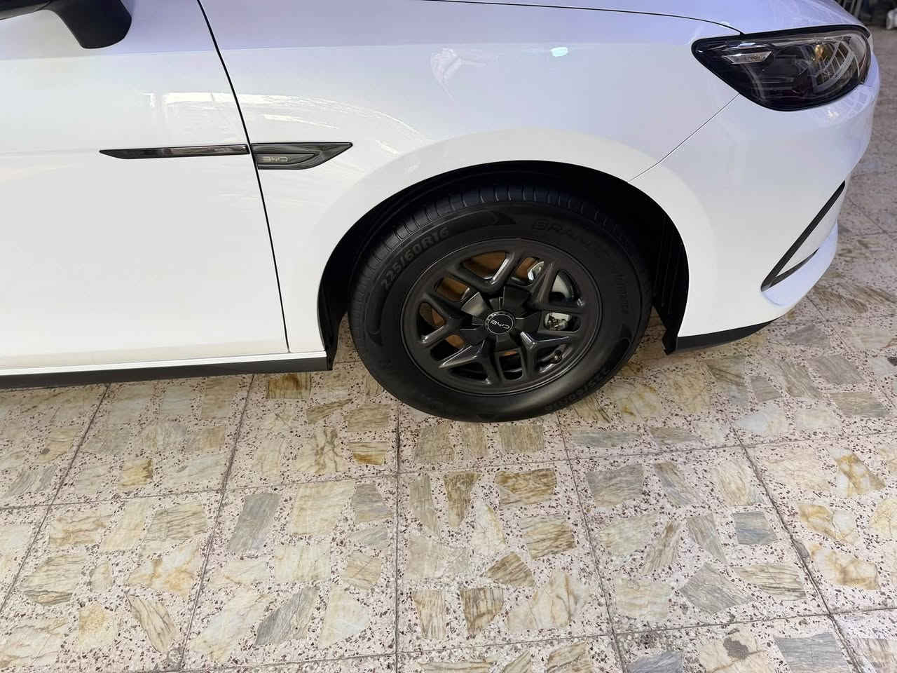سيل فايف • ٦٥٠ كم • ٢٠٢٥