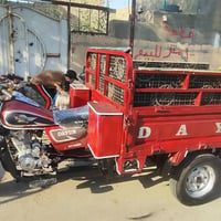 ستوته • اوراق اصلية • ٢٠١٥