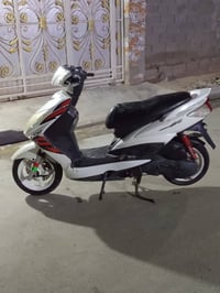 سكنس فحل السعر ٥٠٠ اسكن بغداد 07709662527