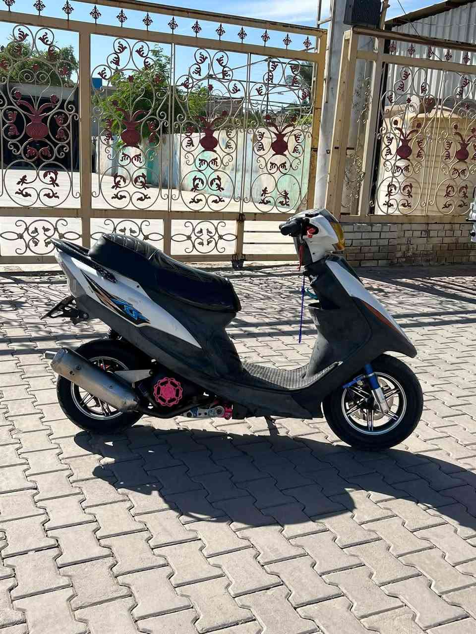 ماكس عدله • ٥٥ • قويه