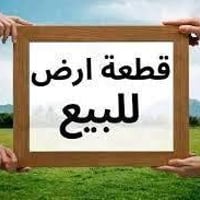 الفلوجه • ١٥٠م • طابو ملك