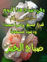 النترا • ٢٠٠٩ • محرك ٢٠٠٠