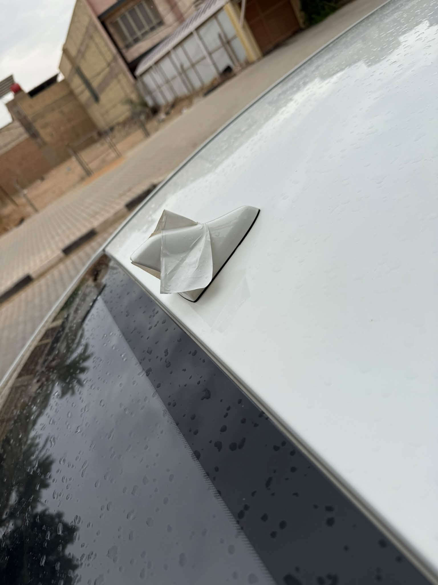 كي3 • ٢٠٢٤ • ٣١الف