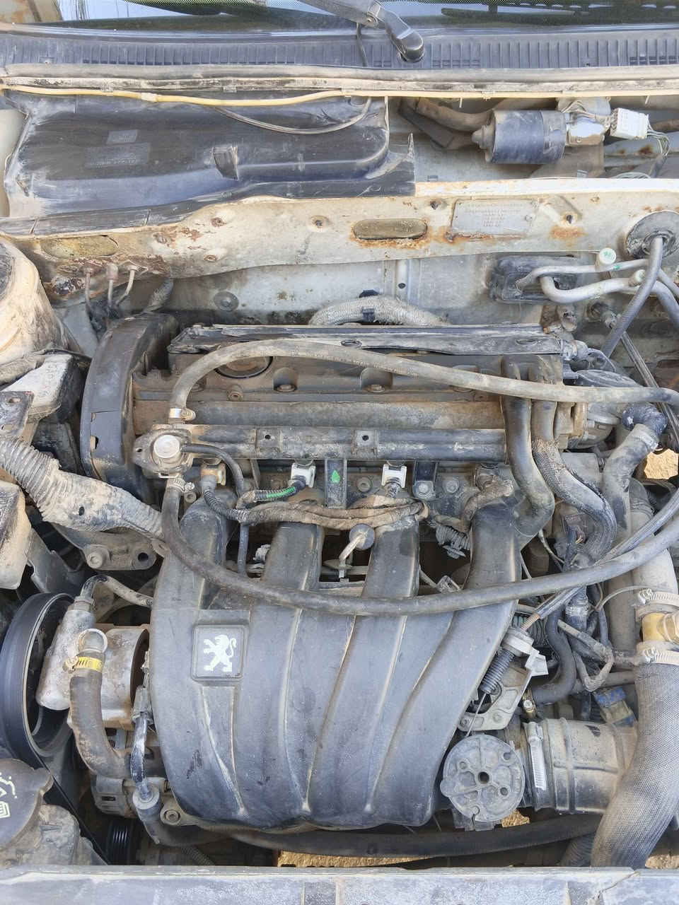 بيجو بارص فرنسي رقم بابل دولي شرط التحويل رقم جديد حدادية زينة تخم تاير تبريد بي ليك كهربائيات كلها شغالة كشنات الإمام كهرباء شغالات مكينة 1800مسكر بيهاتنقيص الاستفسار  الاتصال ***********
*********** بغداد, العراق
