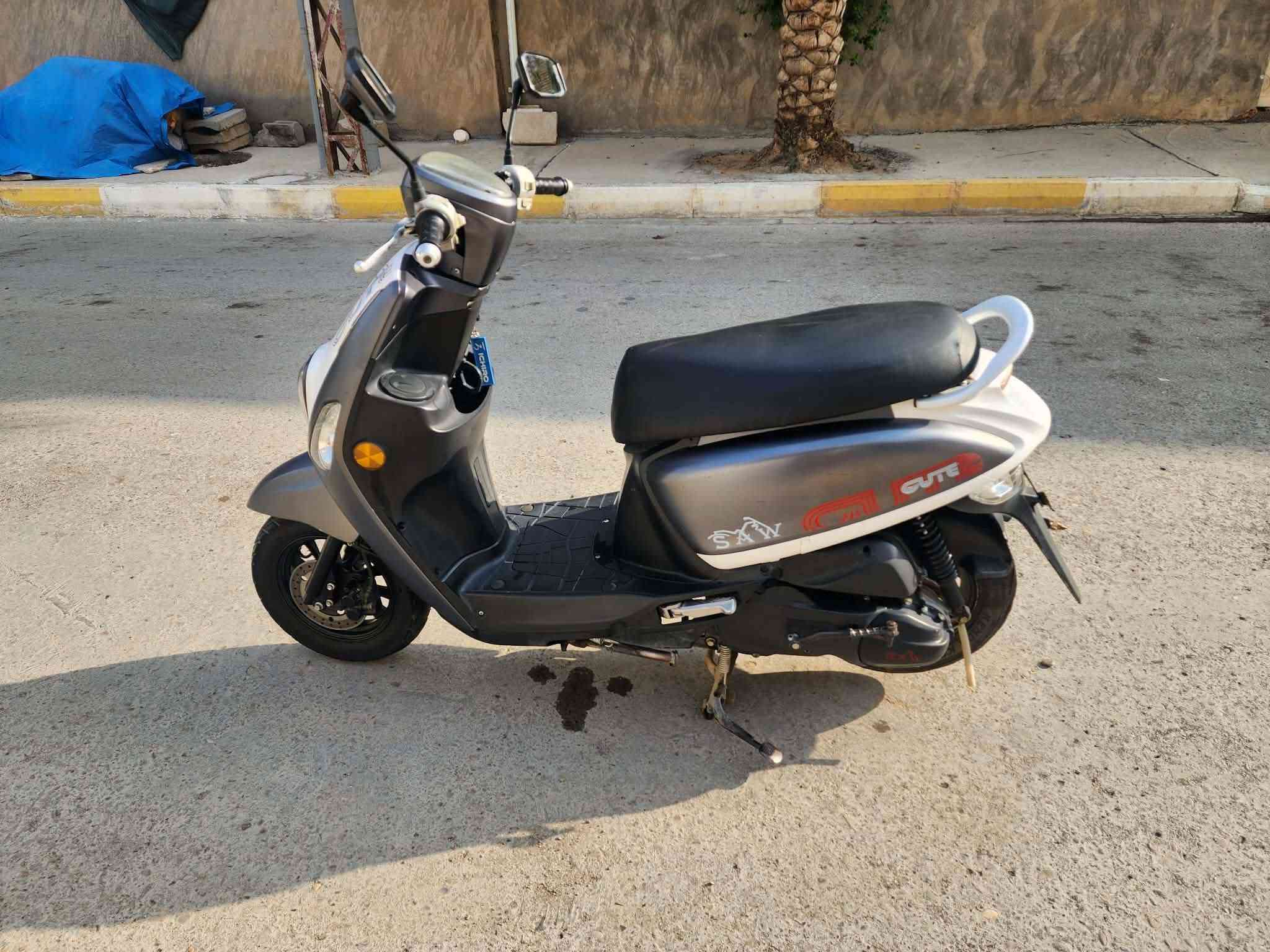 بوليسي • ٢٢ • ياباني