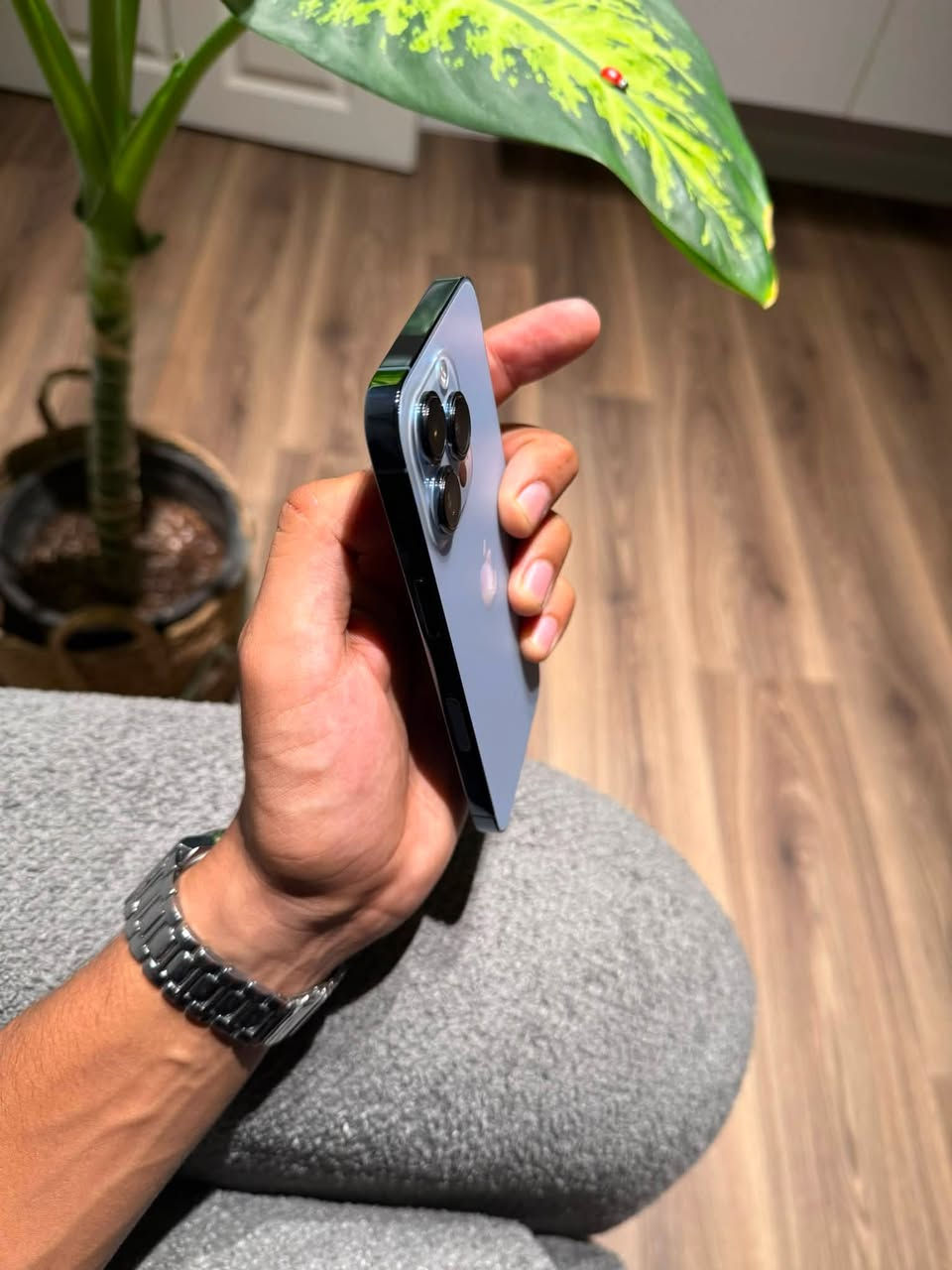 iPhone 13 pro

لون بحري -
ذاكرة 256 -
وتر بروڤ -
بطارية 100 -
أمريكي -
شاشة 3 خيارات -
فيس ايدي شغال -
نضافة 100‎%‎ -

الجهاز شخط مابي 

ملاحظة // فقط البطارية معلاية غير البطارية مابي ايشي 
وصرفة كلش طبيعي 

للاستفسار خاص او الاتصال -
☎️ ***********
