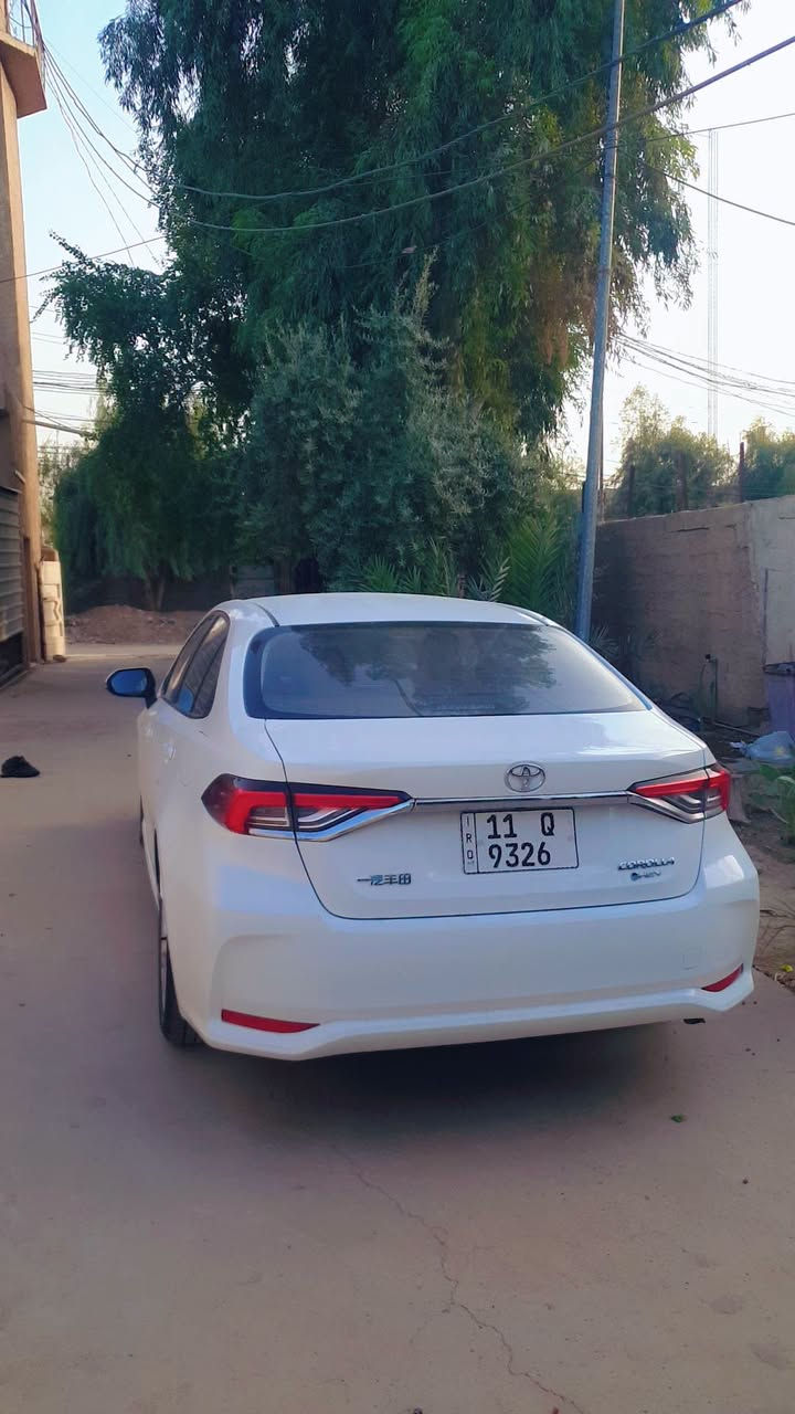 كورلا • ٢٠٢٥ • مرقم بغداد