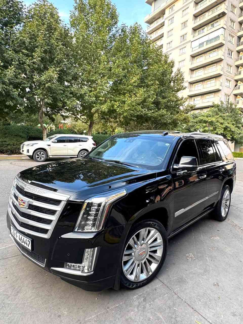 Cadillac Escalade 2016 💎
كديلاك اسكاليد 2015 پلاتينيوم فول فول مواصفات صفر شركة المنصور ✅
(299)💰🔥

مواصفات ( فتحة - صدوك شفط - شاشة بل سگف- كشنات تدفئة تبريد - دوسة كهرباء . بيعد هواي مواصفاتً لالخير .......) 

محرك گير شرط سنة مكفولات ..✅
بيها شبر رش باب سايق بدون فتح بدونً كلشي ..✅

سنوية ارقام دولي جديد + كتاب تضليل سنة ✅

مكان سليمانية ✅

سعر (299💰) 

 ☎️***********☎️
واتس اب ☎️***********☎️ السليمانية, العراق
