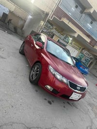 ٢٠١٢ • ١٦٠٠ • بدون صبغ