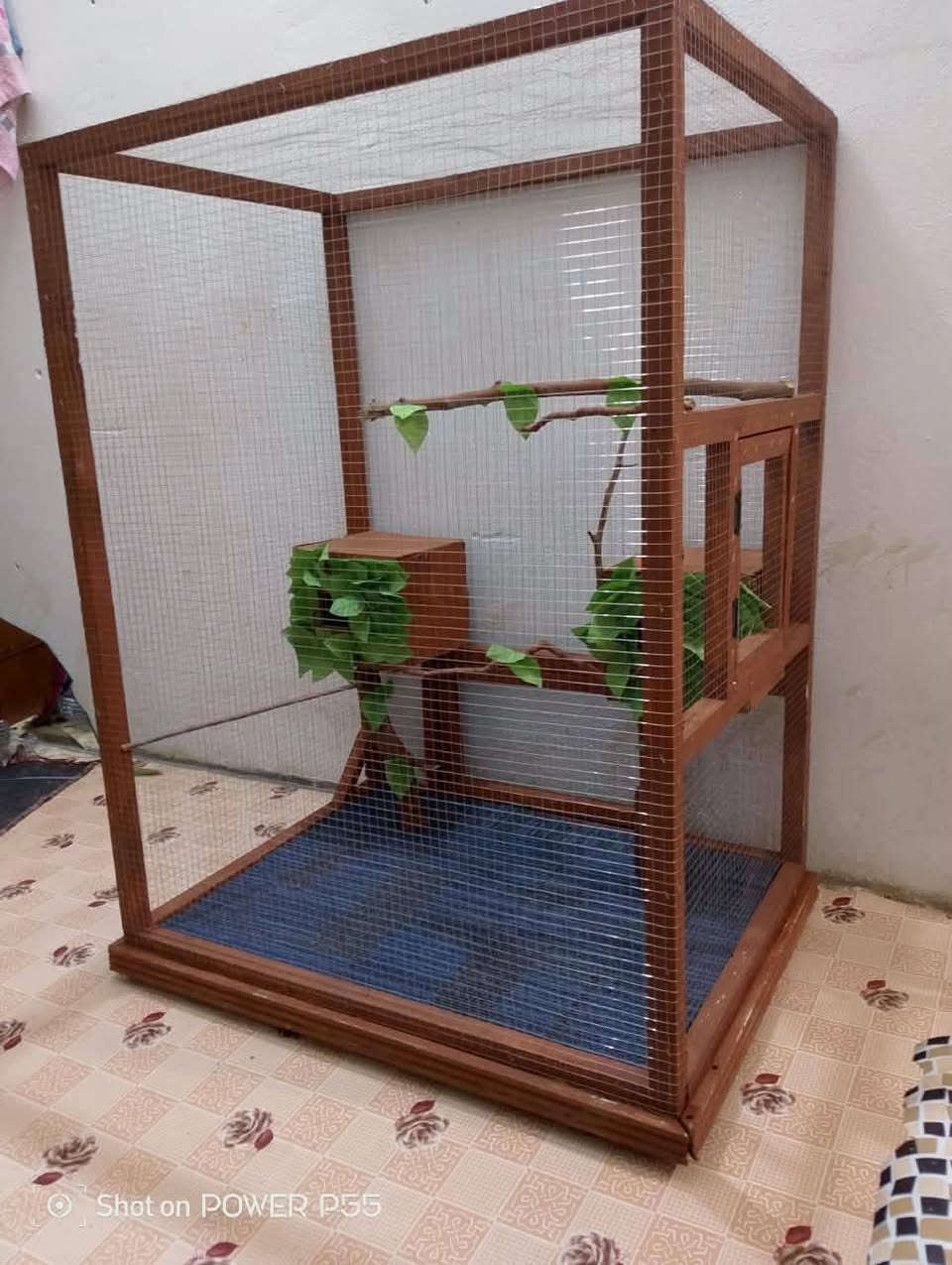 من اجمل شغل ديكورات يم نجار حسام اشتغل حسب الطلب العنوان ديالى بعقوبه خلف صناعه ثالثه رقم ***********

نص مكتوب في الصور:
- Shot on POCO P55
- Shot on POWER P55
