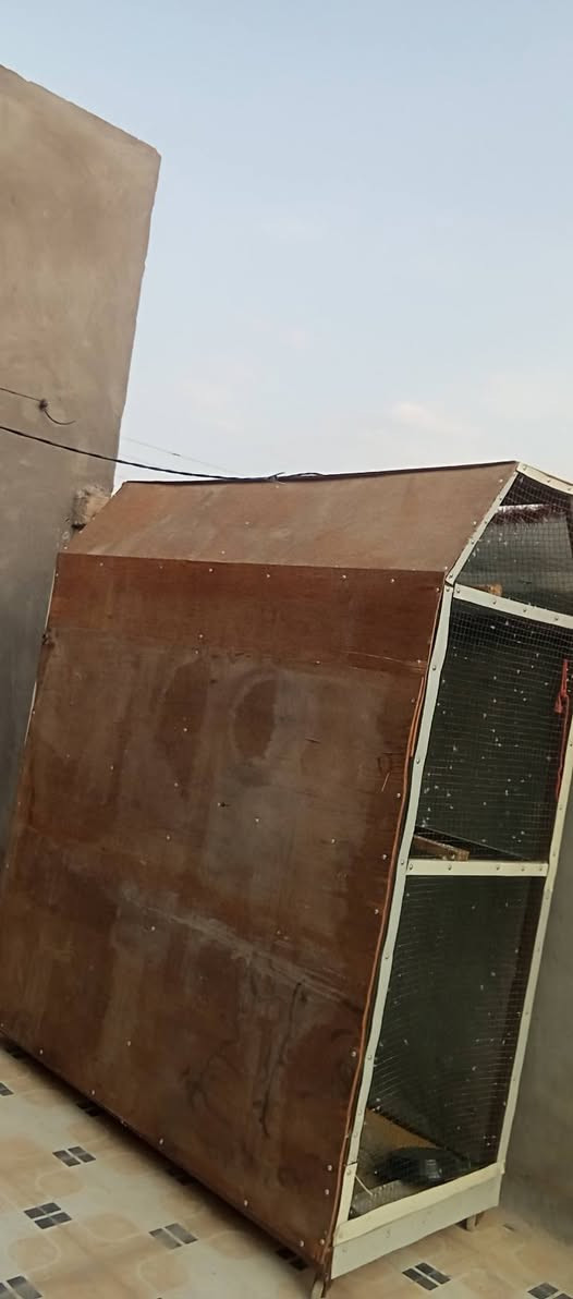 قفص طيور • كله حديد • غراف