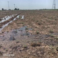 كاع 6 دوانم 117 مكان واسط بحي لحكيم ثانيه رقم 07775641221