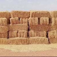 تبن • الموفقيه واسط