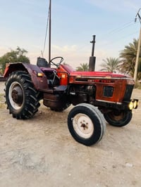 زيتور • بدون تحويل • مكفوله
